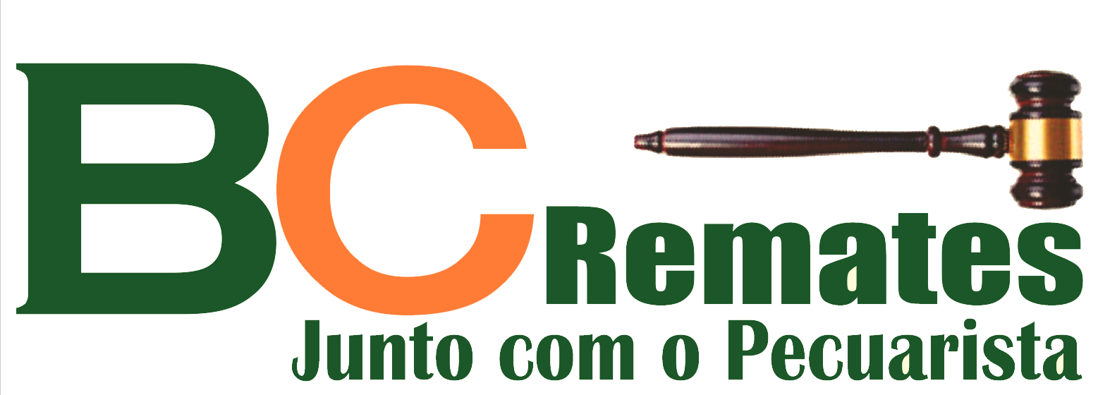 Canal do Criador_Colorido