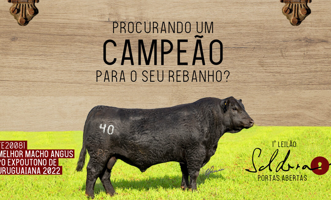 Cabanha Soldera oferta genética campeã